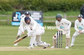 Image result for Plumtree Cricket Club