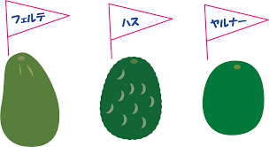 「アボカド大臣」の画像検索結果