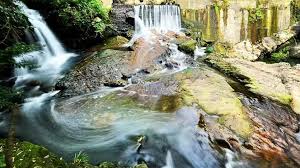 Image result for 水野X68仁義