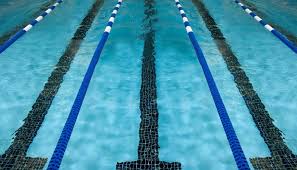 Image result for Stevenage Swimming Club