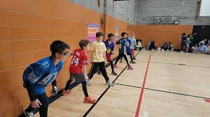 Image result for York University Dodgeball Club