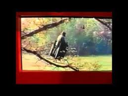 Image result for Viktor Grebennikov