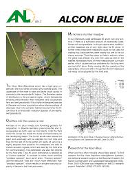 Attēlu rezultāti vaicājumam “Maculinea alcon upperside”