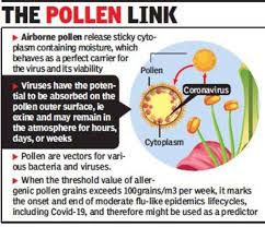 Attēlu rezultāti vaicājumam “pollen corona”