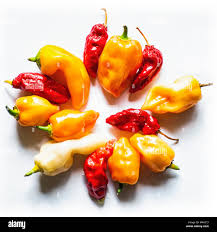 Afbeeldingsresultaat voor thai yellow hot pepper