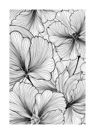 Image result for pattern