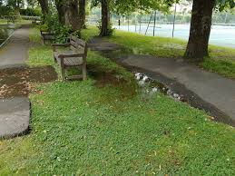 Image result for Ilfracombe Table Tennis Club