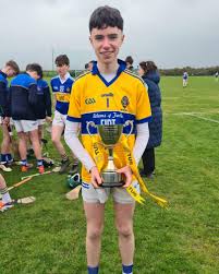 Image result for Causeway Hurling Club