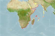 Image result for Pomadasys commersonnii