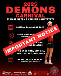 Image result for Southside Netball Club