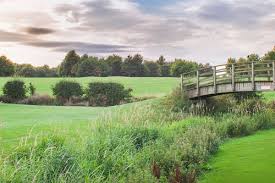 Image result for Romanby Golf Course