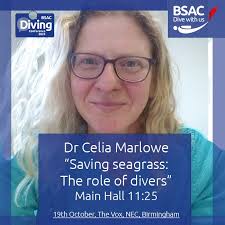 Image result for Birmingham BSAC 25
