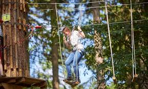 Image result for Tri-Esporta Crawley