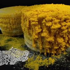 Attēlu rezultāti vaicājumam “Physarum album”