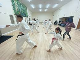 Image result for Soncho Karate Club