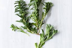 Image result for Bohnenkraut