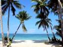 Florida Beach Weddings | Beach Wedding Ideas