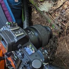 Attēlu rezultāti vaicājumam “Didymium squamulosum spores”