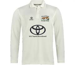 Image result for North Devon Cricket Club