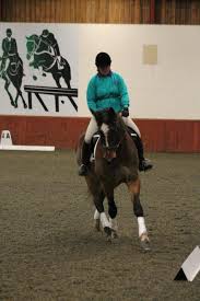 Image result for Chobham and District Riding Club