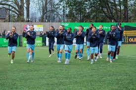 Image result for Dorking Football Club Limited