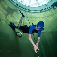 Image result for Blue Water Freediving School