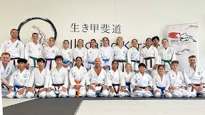Image result for Zen Shin Seicho Do Adult Karate