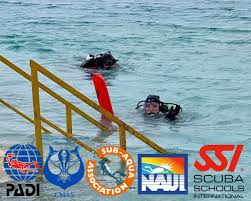 Image result for London Hellfins