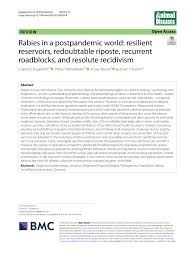 Image result for Redoubtables Cc