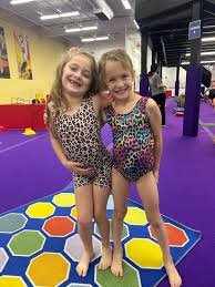 Image result for Little Tricks Gymnastics - Pre-School and Play Gym
