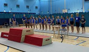 Image result for Harlequin Gymnastics Club