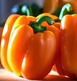 Afbeeldingsresultaat voor orange sun sweet pepper