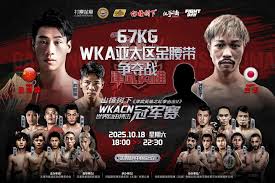 Image result for Enfield T'ai Tsung Chinese Boxing