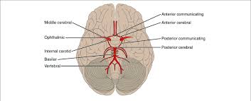 Image result for /ACoA