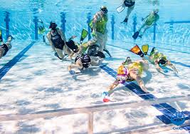 Image result for Stirling University Underwater Hockey Club