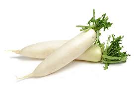 Image result for Rettich