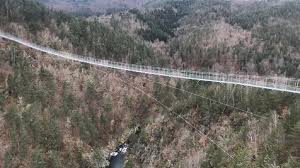 Image result for PONT DE SINGE