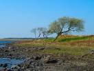 waters of Fell Loch and I finally get to prove my deity like qualities. - via Daymix