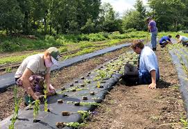 Image result for Intensive Training Group Northampton