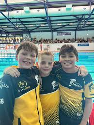 Image result for Swindon Dolphins