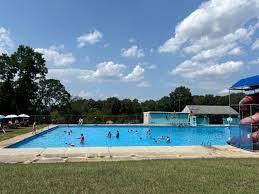 Image result for York University Pool Club