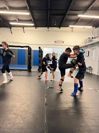 Image result for Bully Me Now Mixed Martial Arts