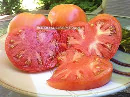 Afbeeldingsresultaat voor kosmonaut volkov 68D tomato