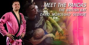 Image result for British Jiu-Jitsu School