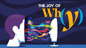 Image result for consciousness