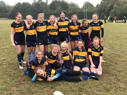 Image result for Ellingham and Ringwood Rfc