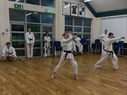 Image result for Soncho Karate Club