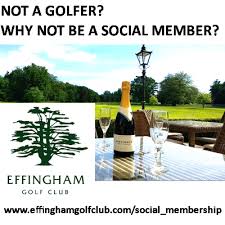 Image result for Effingham Cricket Club