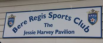 Image result for Bere Regis Cricket Club
