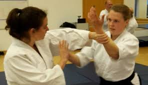 Image result for Aikido - Shobu UK